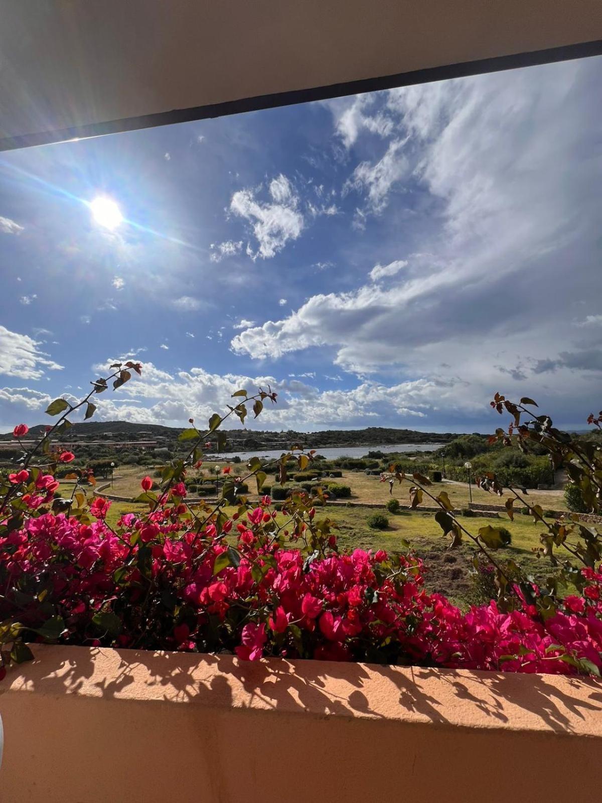 Residenze Coda Cavallo San Teodoro  Dış mekan fotoğraf